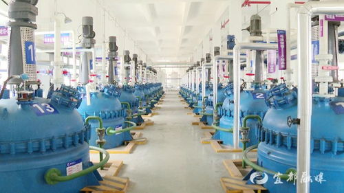 宜昌誠(chéng)凱化工科研投入超500萬(wàn)元，新興能源技術(shù)研發(fā)成新引擎